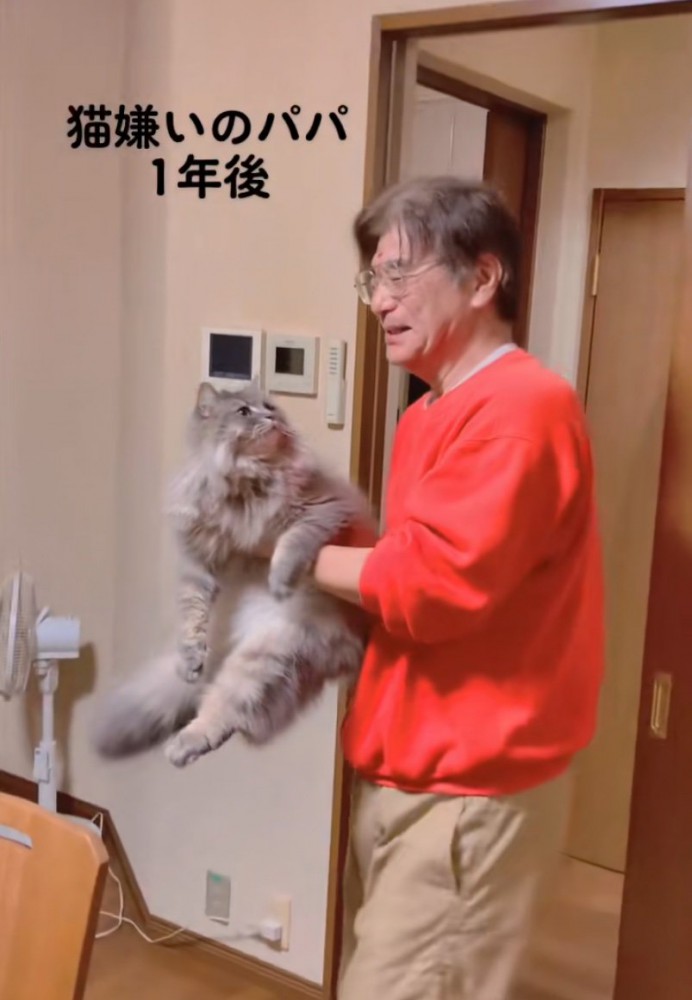 お父さんを見つめる猫