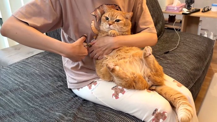 右前足の爪切り中