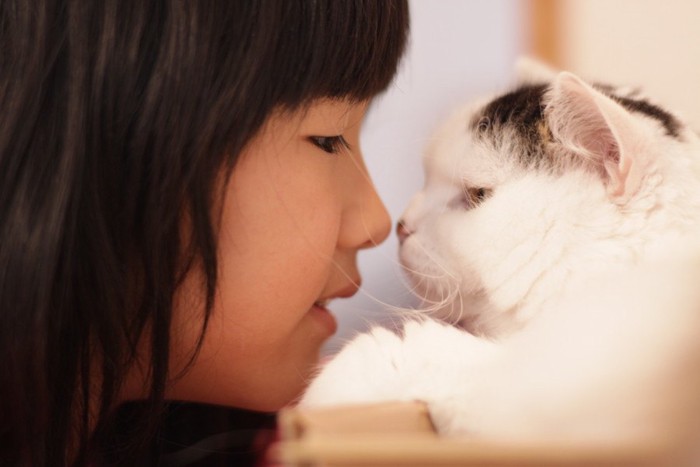 子供と見つめあう猫