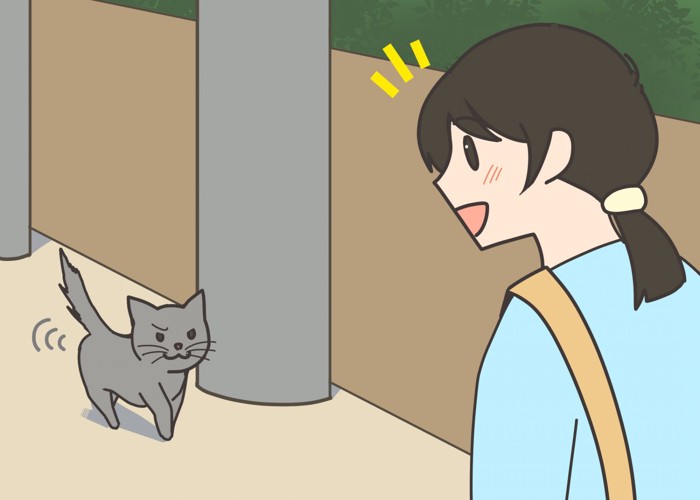 猫から近付いてくるのを待つ