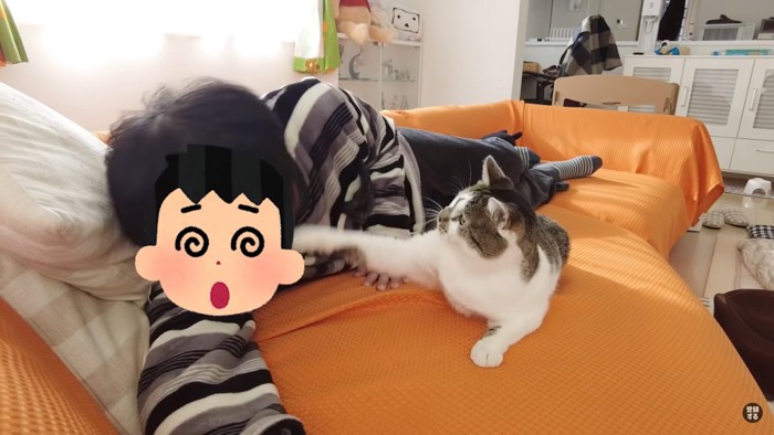 猫パンチをするささみくん