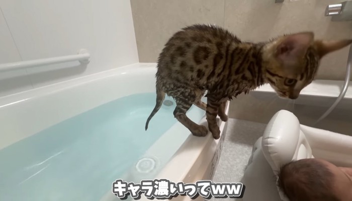 ヘリの上に