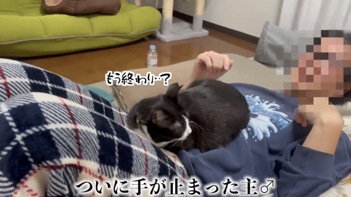 床に寝転がる飼い主と猫