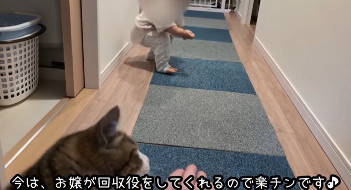 猫と子供