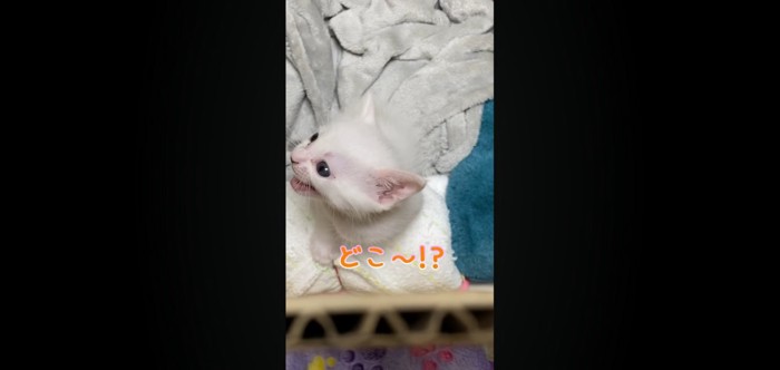 どこ〜!?