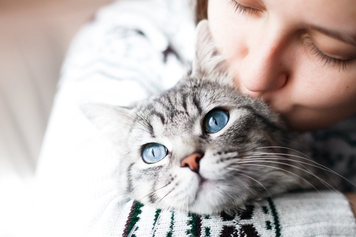 人にキスされる猫