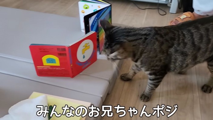 テロップ「みんなの~」