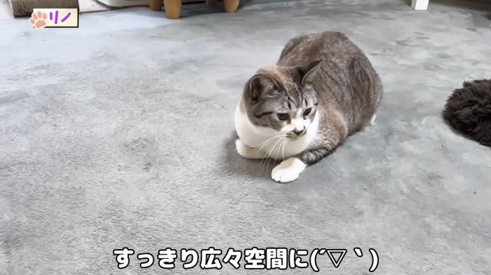 広い空間に