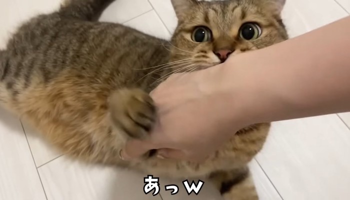 あっ