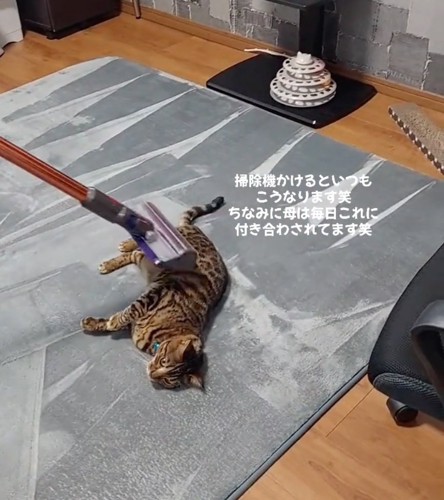 お腹の上に掃除機をかける