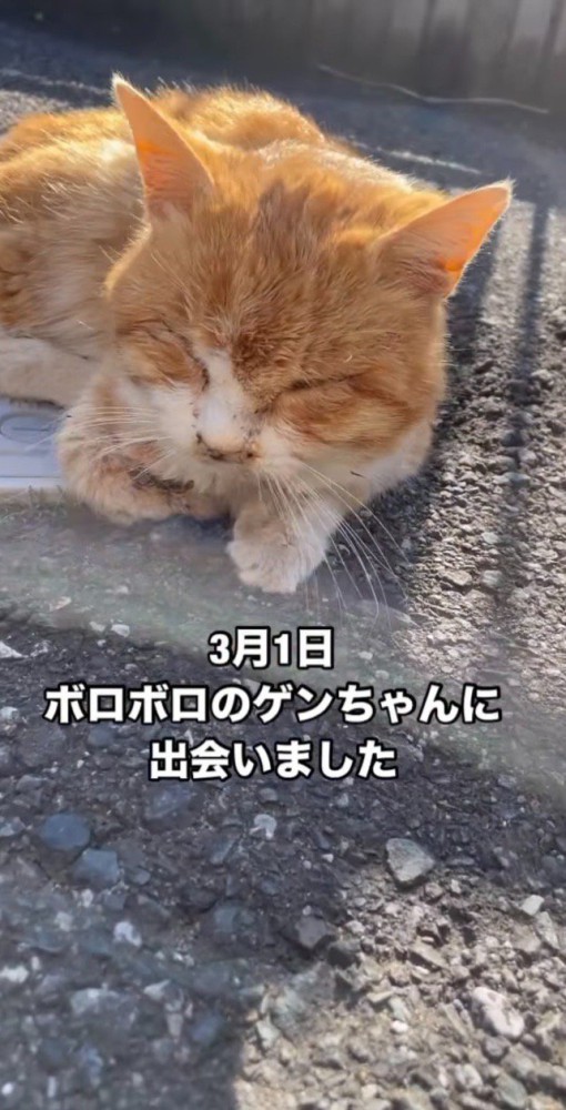 保護した日