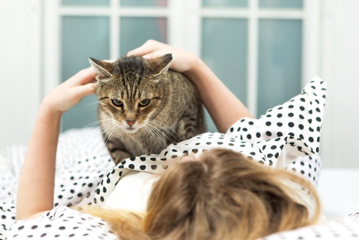 ベッドで眠る飼い主の上に乗る猫