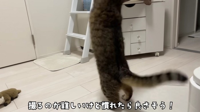 おもちゃで遊ぶみにらくん