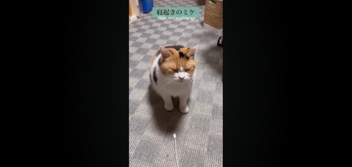 寝起き