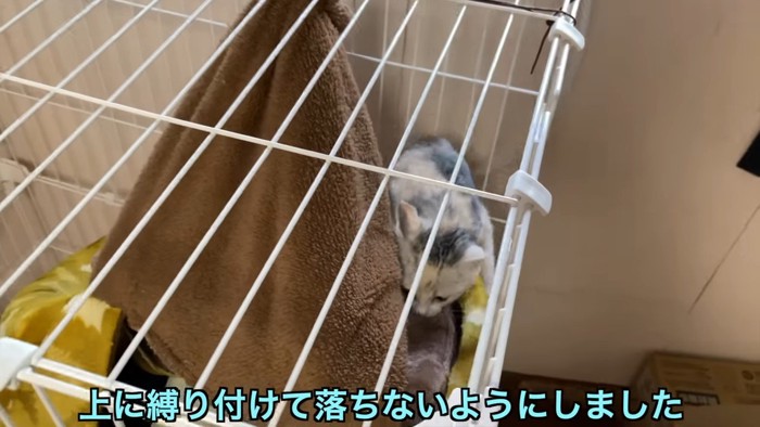 ケージに固定した猫用コタツ