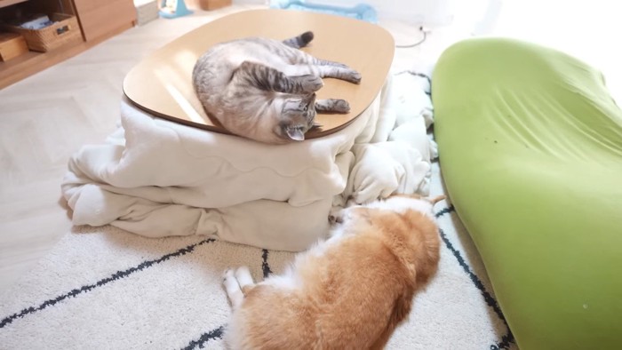 寝転がるふたり