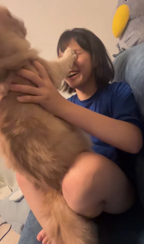 飼い主の顔に右前足をあてて突っぱねる猫の後ろ姿