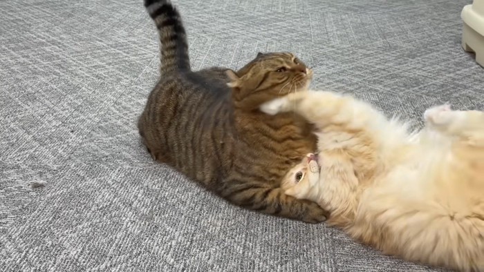 さつきちゃんのキック