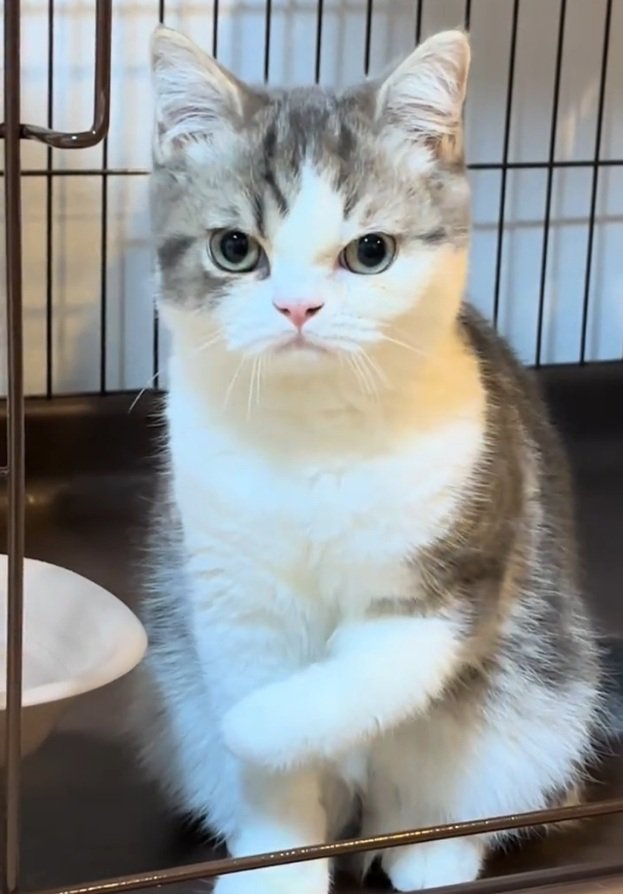 座っているぐるくん