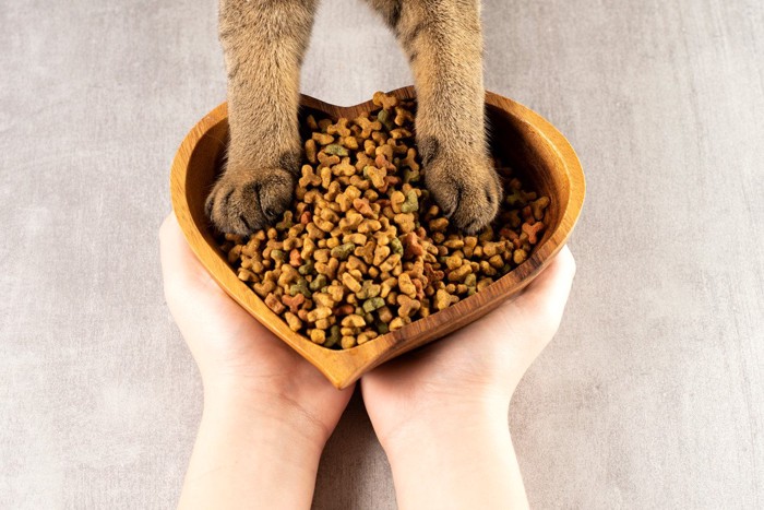 おやつに突っ込まれた猫の手