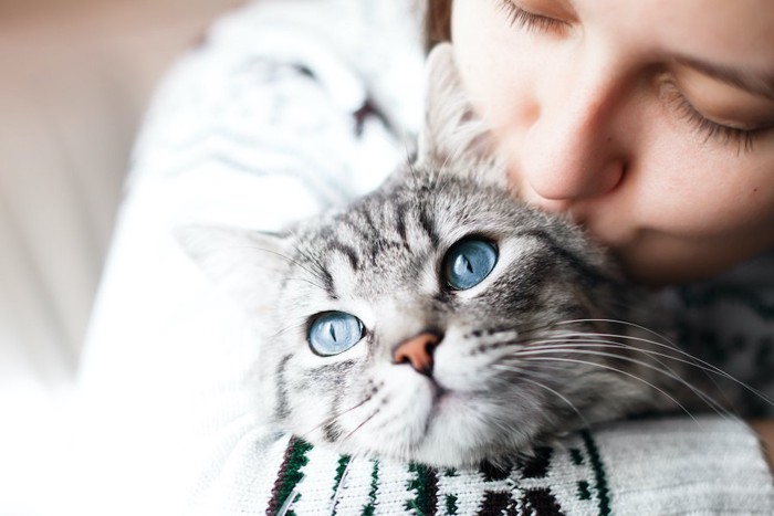 猫を抱っこしてキスをする女性