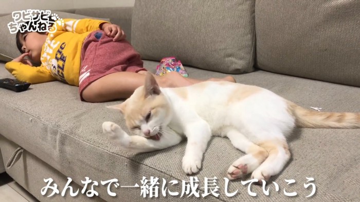 同じ姿勢の子供と猫