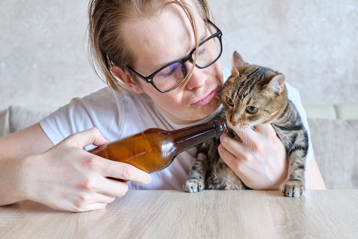 男性から虐待をされる猫