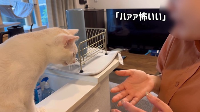 ハァァ怖いい