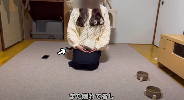 正座する女性とその後ろに猫のしっぽ