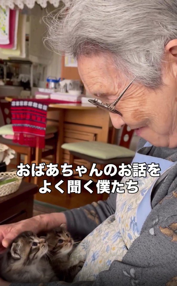 おばあちゃんと2匹の子猫