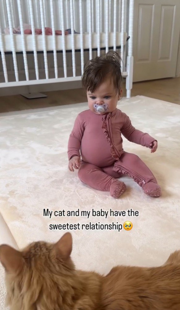 子どもが猫を見ている