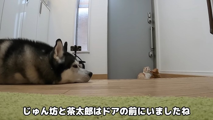 ドアの前