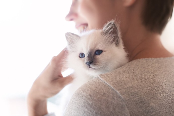 猫を抱っこする飼い主