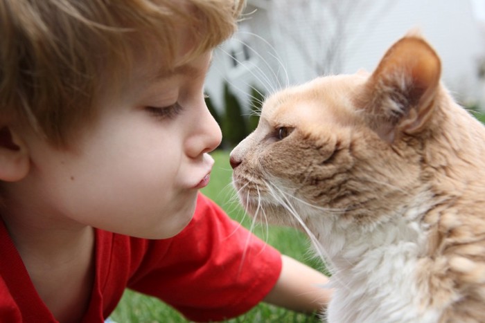 子供に鼻チューする猫