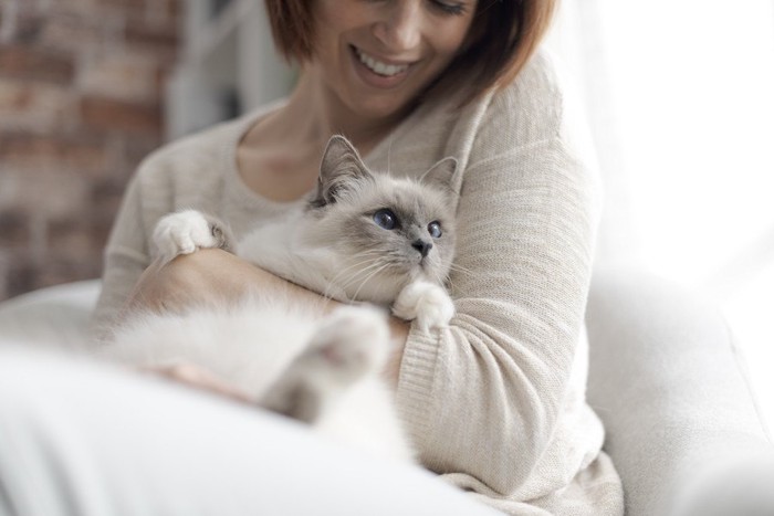 女性に抱っこされる猫