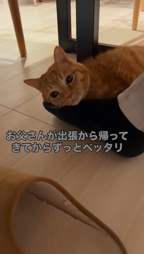 テーブルの下で足を伸ばす男性