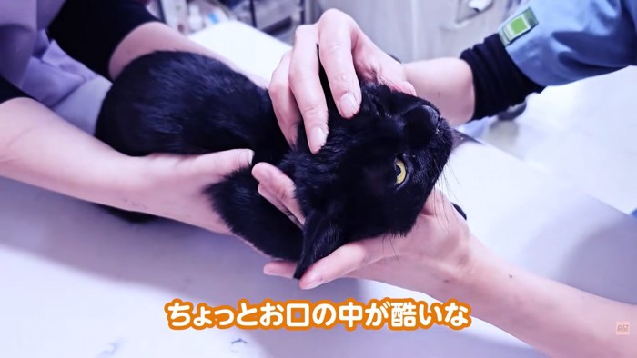 テロップ「ちょっとお口の中がひどいな」