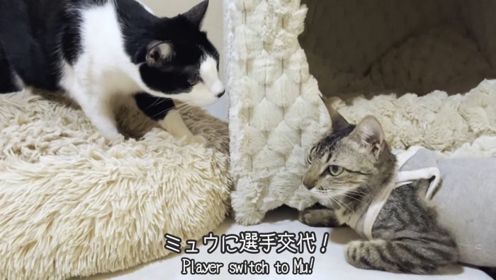 選手交代!