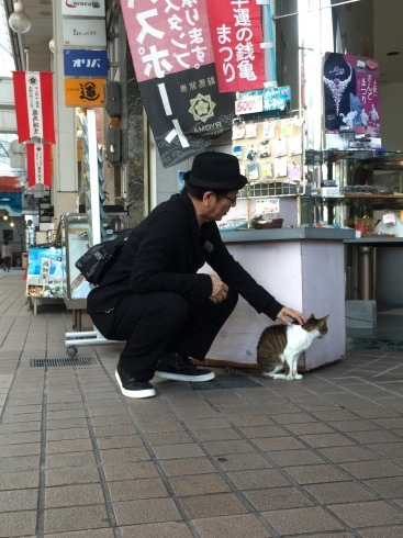 漣さんと猫