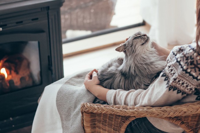 人の膝の上に乗る猫