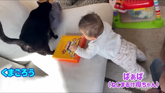 赤ちゃんのそばで立ち止まる猫