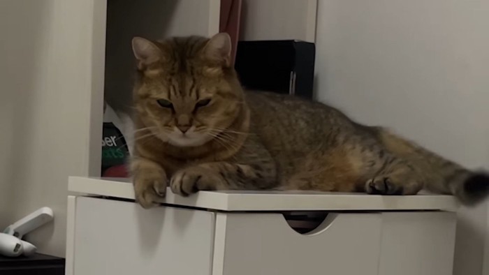 棚の上