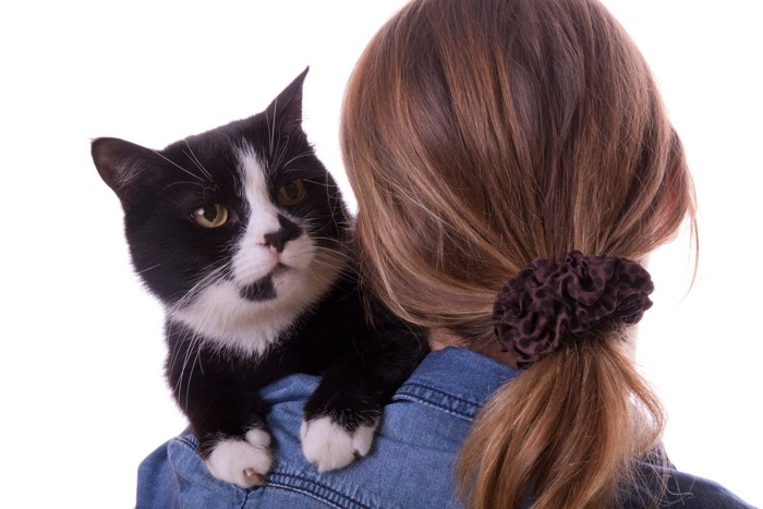 女性の肩に乗る猫