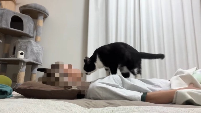 体の上へ