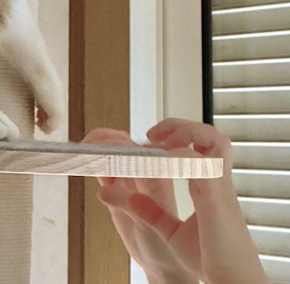 キャットタワーに手を乗せる飼い主