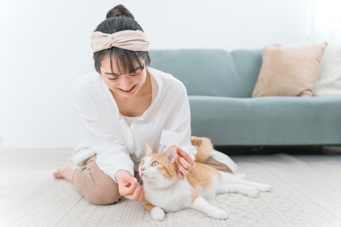 薬を飲ませようとする猫