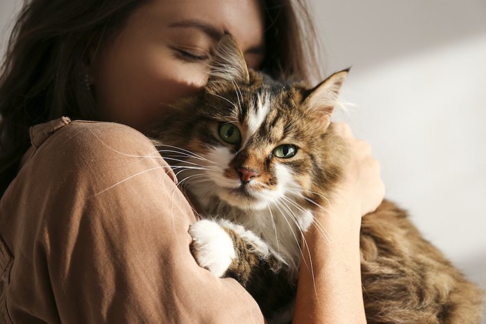 女性に抱かれてこちらを見る猫