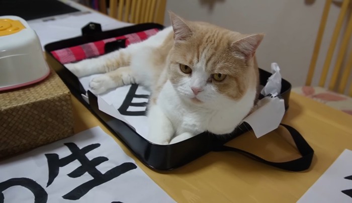 バッグの中