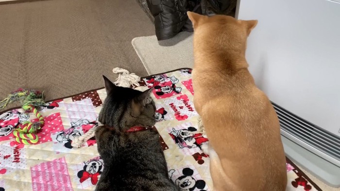 ふたりの後ろ姿