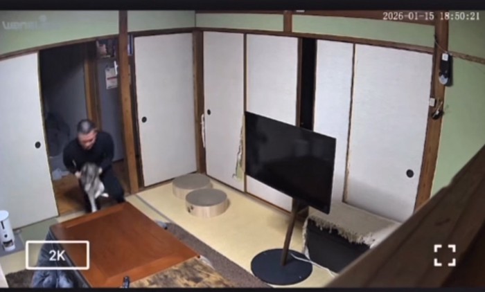 猫を抱き上げる男性